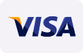 visa payment