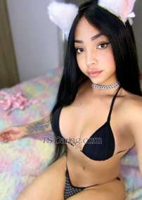 Ahome Martine Medellin Transex Hola  chicos Bienvenidos a mi perfil me llamo Ahome soy una trans de 23 años soy dominante dotada muy hermosa feminina y morbosa
me gustan los paseos la playa las compras la fiesta y compartir bueno momentos me gustan conocer lugares nuevos y dejar buenos recuerdos CONTACTAME SOLO WHATSAPP NO ACEPTO LLAMADAS TELEFONICAS

Hi guys, welcome to my profile. My name is Ahome. I'm a 23-year-old trans. I'm dominant, endowed, very beautiful, feminine, and kinky.
I like walking, the beach, shopping, partying, and sharing good times. I like discovering new places and making good memories. Contact me only WhatsApp I don't accept telephone calls
FOR SALE CONTENTS AND I see calls erotic