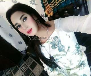 trans girl Alizehkhan 4828484 trans girl Alizehkhan 4828484