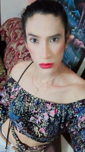 trans girl AnaIsabellav 7621942 trans girl AnaIsabellav 7621942