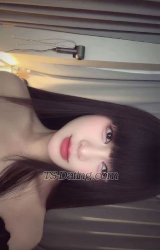 trans girl Annapham 2298395 trans girl Annapham 2298395