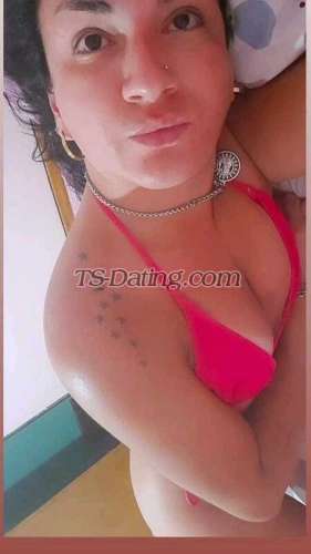 trans girl ArianaL 6182089 trans girl ArianaL 6182089