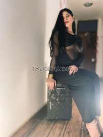 aahanaroy Mumbai Transex I am a stunning indian Mistress, highly experienced in the
world of BDSM.I am look like a dream angelThe
lucky slaves who serve me usually return for morec. CMy
speciality is sensual sadism – one minute you will be in
raptures of lust and the next minute you will be in tortured
agony. I have a sense for a slave’s limits, and will push
them but also respect them.Before your session, we
will discuss your likes and dislikes, and you will need to
make me aware of any medical conditions and hard limits. I
have very few taboos and have pretty much seen it all, so do
not be embarrassed to ask for what you want.Fetish
servicesFETISH DOMINATION: Adoration of gloves, shoes,
stockings, leather or latex clothing and of feet : foot
sniffing, foot licking, dangling, foot teasing, foot
gagging. Trampling, face standing ,crushing (of
objects and food). Spitting , pissing and hard sports, dog
and pony trainingEROTIC DOMINATION: Penetration
with heels, plugs, dildos and strap-on. Prostate massage,
fisting and dilations. Facesitting. Milking, forced
masturbation,Tease & Denial/edging/ruined orgasm, chastity,
forced Bi. Electrostimulation, Violet
Wand.PSYCHOLOGICAL DOMINATION:
Cross-dressing, femminilization and sissification. Role- of
games,derision, psychological Humiliation , CFNM, SPD.
Sensory deprivation, mummification, objectification.
Kidnapping, segregation in cage or cellar. Moneyslavery,
public domination.SADOMASOCHISTIC DOMINATION:
Hot wax, Torture To the nipples and the genitals (CBT),
ballbusting. Face slapping . Caning, spanking, whipping and
bastinado. Bondage, suspensions with sling, breath control
and tickle torture.CLINICAL DOMINATION: Blood
Play: toghi and engravings, cutting and sutures. Urethral
Probes urethral, catheterism, enemas and infusions. Cell
popping..