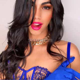trans girl ANGIERICCI 5595982 trans girl ANGIERICCI 5595982