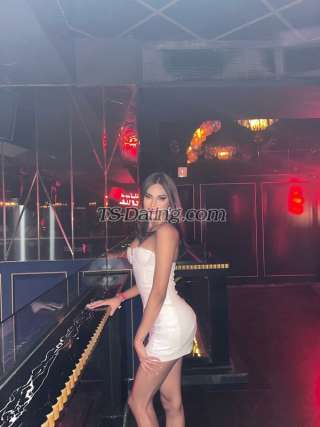 trans girl BrendaLeone 4311424 trans girl BrendaLeone 4311424