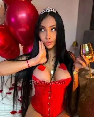 Shemale CatalinaDoll 0176564 Shemale CatalinaDoll 0176564
