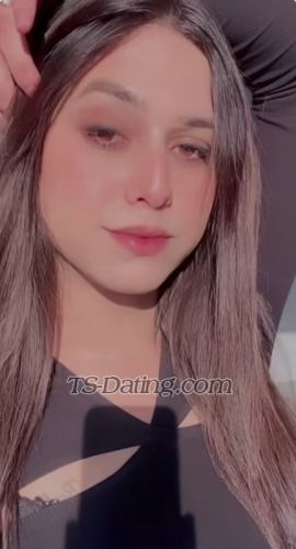 trans girl Cuteamelia 2706305 trans girl Cuteamelia 2706305