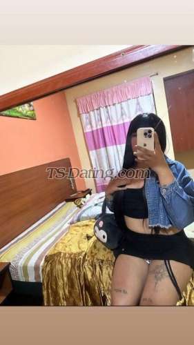 trans girl DanielaGomez 5535882 trans girl DanielaGomez 5535882