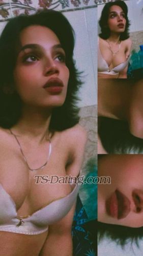 trans girl Elveera 6409585