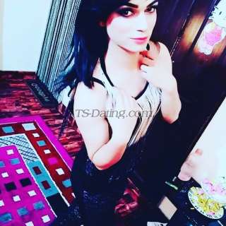 trans girl Feha123 0020376 trans girl Feha123 0020376