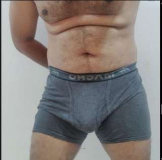 gymbull-2726555
