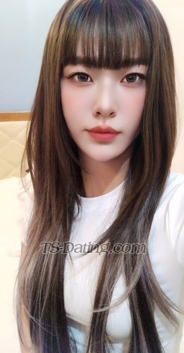 trans girl HanHan 7386472 trans girl HanHan 7386472