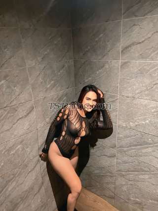 trans girl Larabarcelo 4013797 trans girl Larabarcelo 4013797