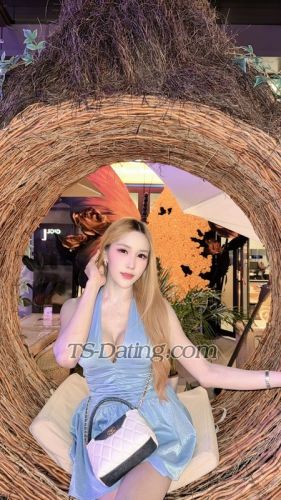 trans girl LillyBloosom 8942328 trans girl LillyBloosom 8942328