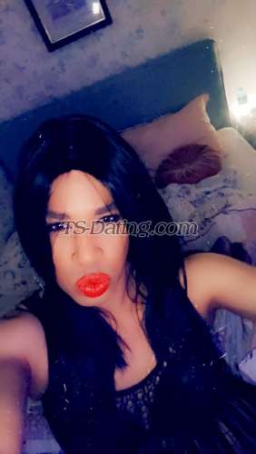 trans girl LolaXL 5594113 trans girl LolaXL 5594113