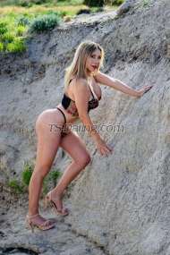 Luly Hot ARG Chubut Transex UNA VERDADERA PUTA AMA,CON LA QUE DISFRUTARAS DEL SEXO EN SU MAXIMO ESPLENDOR, TENGO TODO PARA HACERTE FELIZ, SOY VERSATIL, FRANELERA Y MUY CALENTONA, CHUPAME, BESAME, SUCCIONAME Y SABRAS CUAN RICA SOY
✅ Experta en sexo oral
✅Me encanta el franeleo

✅Solo para caballeros
✅️ Disponible de 10 am hasta las 00 pm con cita previa .
