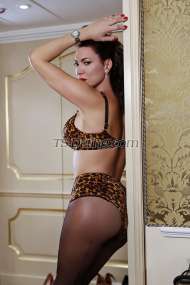 Maria del Mar Stuttgart Transex CH- 0041 79 5250363.
DE- 0049 171 6995050.

***Wilde Spiele

Geniessen sie eine andere Welt der Erotik. Wilde erotische Spiele, verdorbene und verbotene Phantasien die plötzlich wahr werden und jedermann in seinen Bann zieht. Die Lust nach mehr wird unerträglich.
www.maria-trans.com