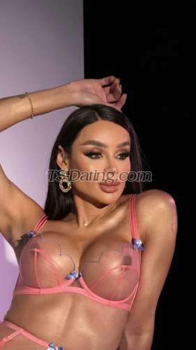 trans girl MissKlein 7419060 trans girl MissKlein 7419060