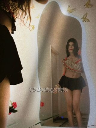 trans girl Misshellina 8544228