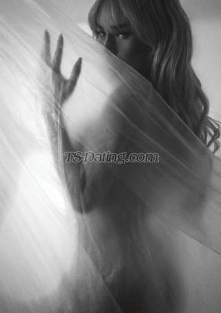 trans girl miarose1409 2601788 trans girl miarose1409 2601788
