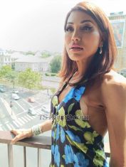 misspaola Bucharest TS escort 