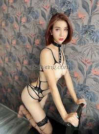 Ninasosexy Bangkok Transex Hi 👋 my name is Maya
I'm  shemale from Thailand 🇹🇭 
If you looking for funny shemale and versatile top and bottom ,That you come true , right profile 😝😝
let’s chat and I'm ready to fill up you ass and mouth 👄  I can do everything about sex , BDSM PLAY ,SEX TOY, 69 , KISSING, RIMMING , ASS LICKING AND ETC.

Now 📣☺️ I'm very excited and want to serve your guy a lot of fun 🤩. I got cock thick and big cum , my ass is tight , good massage 💆‍♂️.
We will match and a lot of fun in bed. 
Let's chat and meet me

Line : mayrisa1maya
Whatsapp : +66918266928
Telegram : +66918266928
We chat : yongcha_
🙏 thank for visit my profile 😝😘🙏
