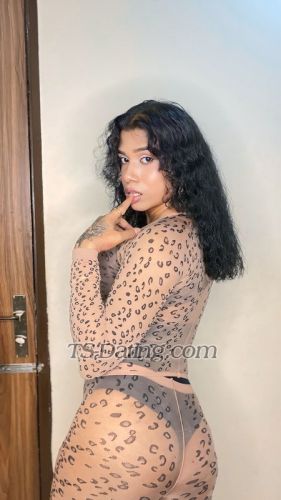 trans girl 123sitara 5104582 trans girl 123sitara 5104582