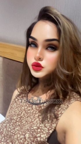 trans girl Parisroy 7209478 trans girl Parisroy 7209478