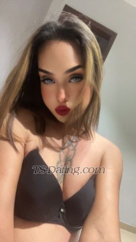 trans girl Parisroy 8057466 trans girl Parisroy 8057466