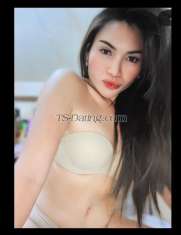 PrettyFritz Cebu Transex Available Camshow
No playtime automatically block
Hi Babe ( I'm TS Anna 24 years old stunner)
Young and fresh just landed with fully functional and hygienic tool. and discreet. I am a delightful young ladyboy who will surely you a great time, with no rush. And I am easy to communicate, can offer you a fantastic performance all the way, to the fulfill your fantasy by having a sexy, slim, and smooth body with a 5.5 inches big hard dick thick which is the best combination to satisfy you and give you a great pleasure of romance that you will never forget. I am a power top and sweet bottom. I am available
2477