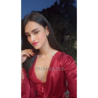 trans girl Roohshaikh 1483673 trans girl Roohshaikh 1483673
