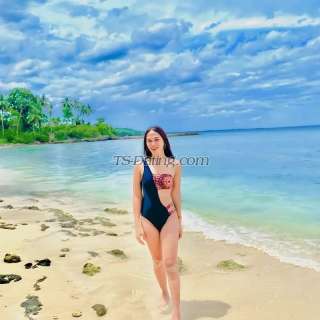 trans girl SAMCAMSHOW 5392169 trans girl SAMCAMSHOW 5392169