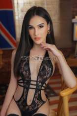 Sarah Lisa Istanbul Transex New in Istanbul …

I am a Bangkok Ladyboy - transsexual shemale escort. Thank you very much for your time to read my advert.
I have an amazing models body toned and smooth, body to die for. Natural hair, very feminine, educated and classy.
Charm and charisma to match. With love for fashion, beauty and art. But I am very naughty in bed. Friendly yet extremely down to earth, easy going. I am perfect for first timer without the awkwardness or nervousness I will make you feel fantastic and at ease.
Real deal with absolutely no disappointments. I have big big secret ;) Call me today i will make you smile within seconds of our meeting.
Please only genuine serious clients, please not to waste my time.

Thank you

✅  ‪ Whatsapp: ‪+66800122645
✅ Line : saralis123555
✅ telegram : +66959947699

