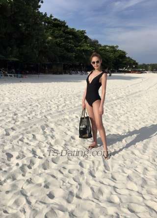 trans girl SarahSohot 8542782 trans girl SarahSohot 8542782