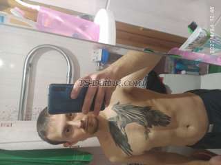 Stiger92-8919142