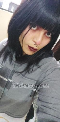 trans girl TSHaruna 8979164 trans girl TSHaruna 8979164
