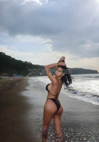 trans girl TSMoana 7365919 trans girl TSMoana 7365919