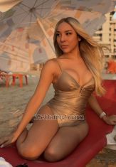TSRaven Tel Aviv Transex Hello!

About me: 

My name is Dayana and I am 25 years old. I am a well-traveled person currently in Israel to give you what you deserve. I am very passionate about meeting people, getting to know you, and make your fantasy become reality. I am a super charming-smart lady, full of desirable qualities; just perfect to make you fall in love with me (be careful, you’ve been warned). I definitely look like my pictures and I have been constantly updating my profile so you get to see the real me before you decide to meet me. 

Why choose me? 

As mentioned above, my pics are recent and updated. My looks are unique because I am and Asian American which helped me become a special doll. Because of my mixed ethnicity, I am lucky enough to be 170cm (5’7) which makes my height just perfect to be considered feminine, and stunning-like-a-model at the same time. I must admit, my special genes helped me land modeling and beauty queen stints in the past, and these privileges are something I want you to enjoy while being with me. My best assets are my eyes and my smile; they make me extra charming. I can definitely get you excited in few seconds when I start to stare at your face before I use my sexy-full lips in kissing you. I am blessed to possess right amount of voluptuousness and body curves that many women envy.  I am a very hygienic person and I expect you to be one as well. No mouth and body odor. I am always clean and freshly-showered with seductive scent which will make you can’t stop kissing, licking, and touching me. 

I am a highly-educated person who finished my studies with flying colors. My experience in the community development work in some southeast asian countries helped me become a well-informed person about various social issues. I am someone who is gifted with communication skills and I am a very “people person”. Because of these qualities, I can talk with you about many topics, and I hope this is a bonus to make you feel comfortable during your time with me. 

The exciting part: 

Have you ever paid for something/someone you want but ended up being disappointed or dissatisfied? I have, and it’s the worst feeling of all. This is why I will value your money and most especially your time. I am a very open minded person and I encourage you to speak freely about your fantasies and fetishes so we can talk about them and make it reality. I have a fully-functional 15.24 cm (6 inches) tasty cock that I want you to enjoy. I am very passionate about making love that I am so flexible (I can be active, passive, or both), and my lips are perfectly crafted, not only for passionate kissing, but also for sucking your tool. 

Did you ever wish to have someone that is at the same wavelength with your special sexual needs? I am so happy to inform you that my presence is a blessing! Finally! The special ladyboy that you deserve is here!  

PS: Please message me only if we are in the same place or you can meet me now. I am currently not offering online services, so sex chats, video-call sex, or ‘online chats only’ will not be entertained. Talk is cheap. I am here for real meetups only. Thank you and see you! 

WhatsApp: ‪+972 50‑229‑8649‬