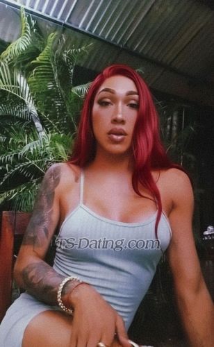 trans girl TSSandraKa 7775171 trans girl TSSandraKa 7775171