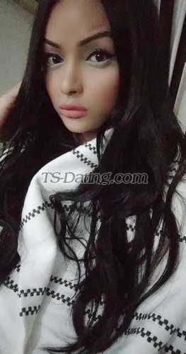 trans girl TSTASHA 6271395 trans girl TSTASHA 6271395