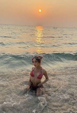 trans girl TSpia 5088406 trans girl TSpia 5088406
