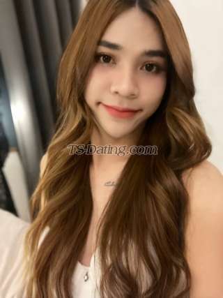 trans girl Topangle 4051819 trans girl Topangle 4051819
