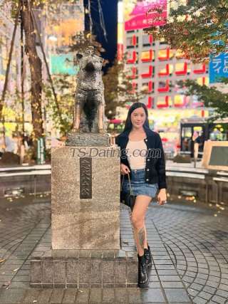 trans girl TsAngel05 2676284 trans girl TsAngel05 2676284