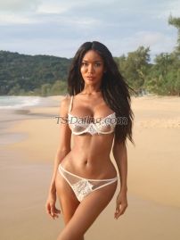 TsLiona Newcastle Transex WeChat : TS_Liona69
📌FIRST TIME ARE VERY WELCOME 
📌POPPER AVAILABLE
📌SEX CAM AVAILABLE
📌THREESOME AVAILABLE
❌ NO BAREBACK
❌ NO GAME & DRAMA
  
Hi I am Liona, high class escort pre-op fully functional transsexual. At just 25years old with exotic model look.

 As you can see from my photos (which are 100% real and recent), I have a slim body, long legs and a curvy butt. My breasts are an enhanced cup E . My skin is dark smooth silky, but you’ll have to come feel for yourself. I weigh 55kg and am 180cm tall model look to serve you.
 
I am well-spoken,have a warm, naturally feminine personality that I know will immediately put you at ease when we meet.
 
Are you a nervous first-timer? Maybe you have some experience but it left you a little disappointed. Tell me what you want. I can be as passive or active as you want me to be. I get hard easily with my 7 inches uncut and love to climax as much as you can.

I can do incall, I am staying at Luxury apartments very comfortable and private discreet and no ID needed and also can outcall to your place.
 
My rates are non-negotiable, you get what you pay for and price come with class :)

My service based on girlfriend experience but I can do A-Z which is everything! Just tell me what’s your preference:)
 
How to contact me?
Twitter  @Ts_liona
Instagram   Ts_liona
 
______________
 
 I’ll blow your mind and treat you like a king since the door is open!
 
 
Hope to see you guys soon Love….Liona ❤️