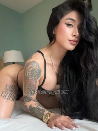 trans girl VALENTINA241 4559187 trans girl VALENTINA241 4559187