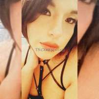 Valeria Moon Antofagasta Transex Hola bb, soy Valeria Moon ,llegando a tu ciudad dispuesta a todo.
Ven y descubre el fuego que hay en mi ,pasiva aguantadora una perra juguetona la más sutra de la región,experta en el sexo oral
THE REAL DEEPTHROAT AND FUCKING FACES
Experta con primerizos ,te ofrezco el mejor trato de amantes ,full oral ,americana ,kiko,muy aguabtadora para fuerte anal .
Tientate y atrévete a caer en mis labios ,llenos de pasión y placer que harán venirte y dejarte seco
NI TE DARAS CUENTAS CUANDO TE VENGAS CORTADO 💦💦
Disponible full ,departamento céntrico.
INDEPENDIENTEMENTE, DISCRETA