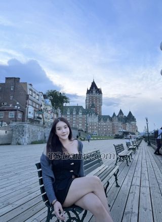 trans girl Wupingann 0491583 trans girl Wupingann 0491583