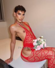 Zahiahot Paris Transex Hello 😚😚😚 

𝐋𝐔𝐗𝐔𝐑𝐘 𝐅𝐑𝐄𝐍𝐂𝐇 𝐄𝐒𝐂𝐎𝐑𝐓 𝐒𝐄𝐑𝐕𝐈𝐂𝐄 
Occasionnel... Offrez vous l'instant, J'incarne la rareté. ✨

FemBoy Française de 23 ans, d'origines Marocaine et Italienne 🇲🇦 🇮🇹. On me décrit comme Atypique, Souriante, Élégante, Cultivée, Androgyne, féminine, et bonne vivante !

« La finesse d’une silhouette, l’élégance du luxe » ⚜️
Visage de poupée, bouche pulpeuse, silhouette harmonieuse et élancée, taille et courbes sculptées par le sport. 🍒

🪞 Toujours apprêté, lingerie exquise, parfums envoûtants et talons élégants... tout est pensé pour éveiller vos sens et sublimer chaque instant.

 Mon Univers VIP :
▪️ Massage sensuel à l'huile (diplômée)
▪️ Fellation (mutuel ou pas)
▪️ Rapport protégé toutes positions 
▪️ FrenchKiss  
▪️ Domination Soft ou Hard 
▪️ Sperme buccale ou corporel
▪️ Annulingus, 69, Poppers
▪️ Caresses, Corps à Corps, tétons 
▪️Paroles coquines, Strip-Tease 
▪️GFE, PSE, Jeux de rôle, Fétichisme
▪️Féminisation, Golden-Shower
▪️Soirée, Nuitée, Fête, Trio 🥂🍸 ❄️ 🔞 🌿 
 Active et/ ou Passive.

Depuis ton écran, Je réalise des Shows Cam ou je vend mon Pack Contenu Hot (Nude, sextape, solo, duo...)
🎥 SHOW CAM : 50 🌹 

📸 Mes photos sont Réelles, Pas de mauvaise surprise à l'arrivée ! 
🔐 Discrétion Absolue. 

🪄 UNE NOTE PERSONNELLE 
Je privilégie la qualité de mes rendez-vous à la quantité, l'élégance, le respect et les bonnes ondes sont essentiels.
J'accorde une grande importance à L'hygiène ! 

✍️ J'apprécie une brève présentation lors de la prise de contact.

⚠️ Je reçois ou me déplace uniquement dans des lieux privés, sécurisés, discrets et de standing, avec salle d’eau à disposition.
Dédiée à mon activité je ne conserve ni espèces ni objets de valeur.

Réglement : Espèces,Virement instantané, Wero ou PayPal.

⛔️ Blacklist immédiate = Rendez-Vous non honorés, Fanstasmeurs, Négociations, Love bombing.

Dans l’attente de vous lire…
Zahia Albar 💋